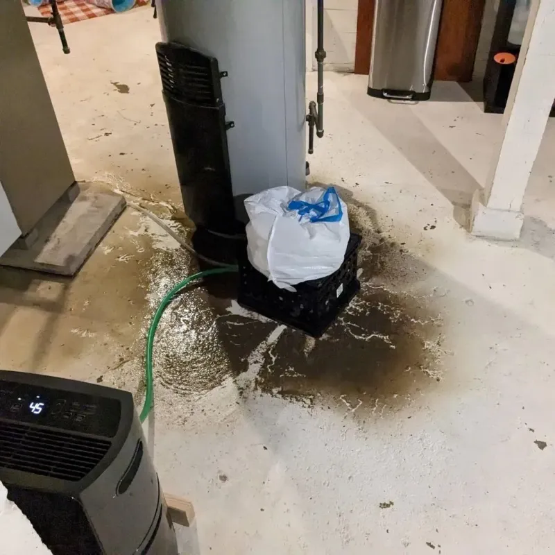 Sewage Backup Cleanup Service in Mineral County, NV